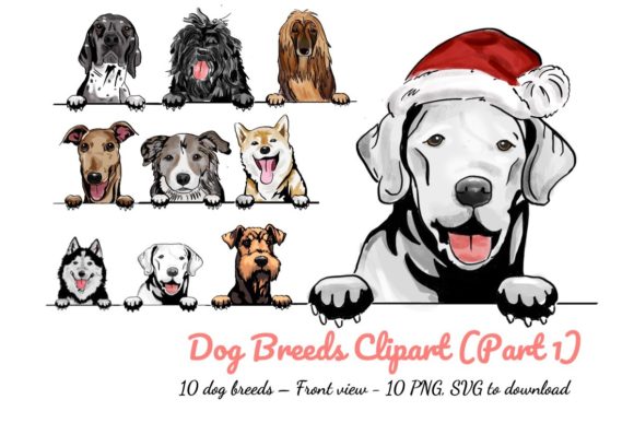 Dog Breeds Watercolor Clipart Bundle & Illustrations