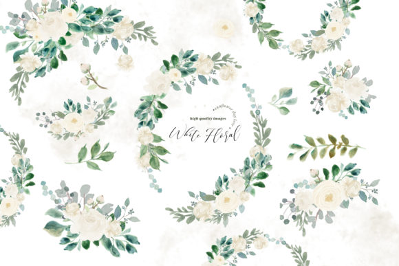 Elegant White Flowers Watercolor Clipart and Illustrations
