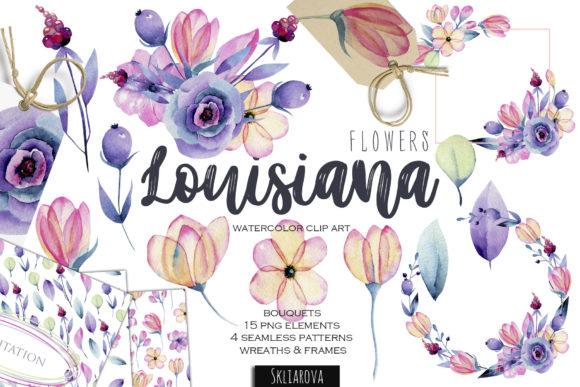 Louisiana Flowers Watercolor Clipart and Illustrations