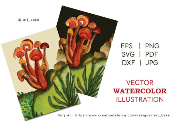 Mashroom Illustration Watercolor Vector