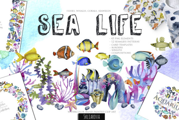 Sea Life Watercolor Clipart Set and Illustrations