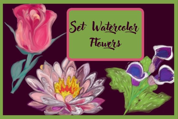 Set Watercolor Flowers Illustrations