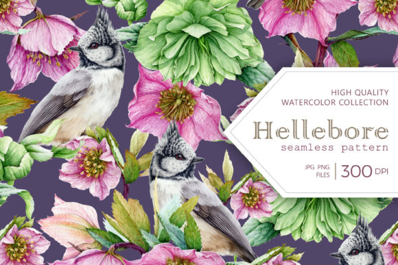 Spring Watercolor Hellebore Flower Set & Illustrations