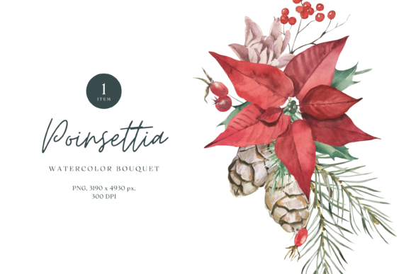 Watercolor Bouquet of Poinsettia Illustrations
