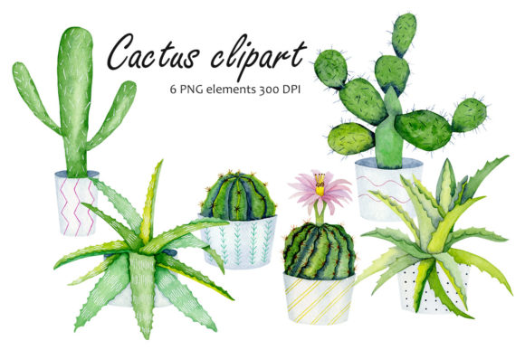 Watercolor Cactuses in the Pots Illustrations