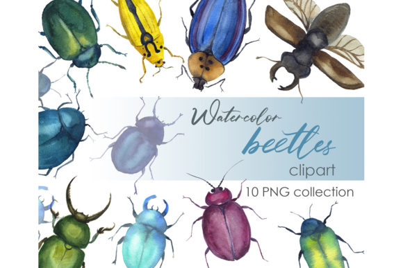 Watercolor Clipart Beetle Insect Cute