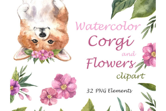 Watercolor Clipart: Cute Corgi Illustrations