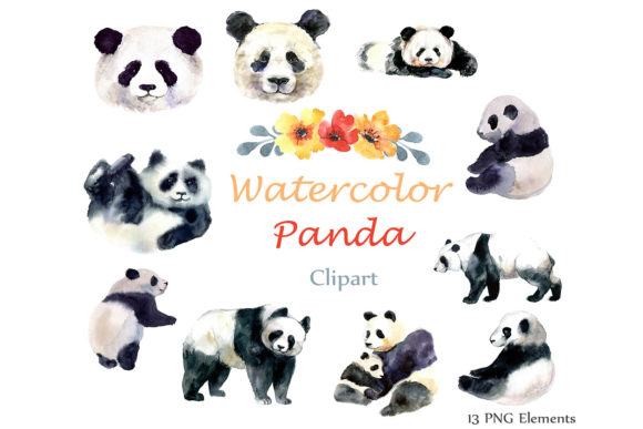 Watercolor Clipart Panda Clip Art Png and Illustrations