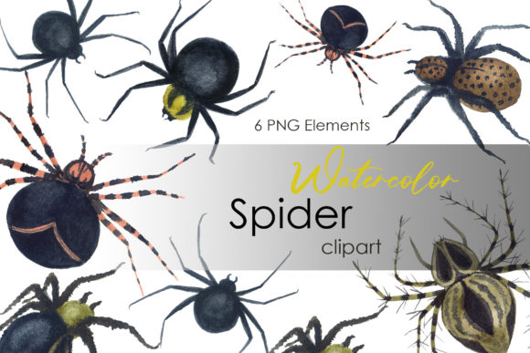 Watercolor Clipart Spider Logo Design and Illustrations