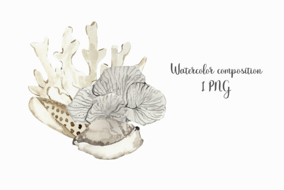 Watercolor Composition with Seashells and Illustrations