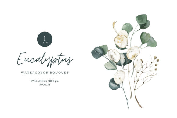 Watercolor Eucalyptus Bouquet Illustrations