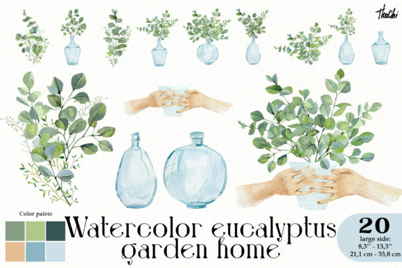 Watercolor Eucalyptus Garden Clipart Png and Illustrations