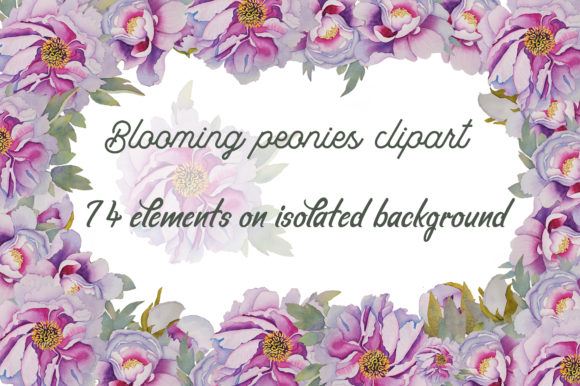 Watercolor Flowers of Peonies Clipart and Illustrations