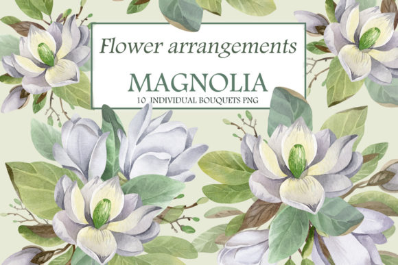 Watercolor Magnolia: A Delicate Design for Real Projects