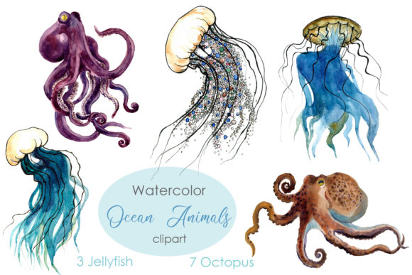 Watercolor Octopus Clipart Jellyfish Png Illustrations