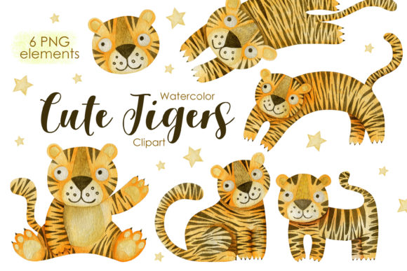 Watercolor Tigers Clipart and Illustrations