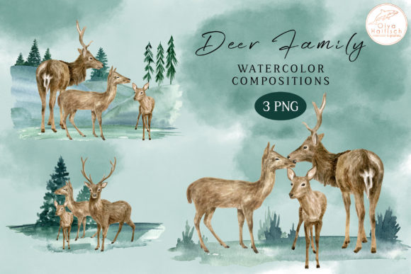 Watercolor Woodland Deer Family PNG Illustrations